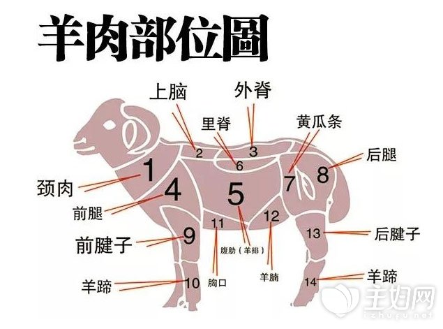 羊肉各部位的吃法 羊肉各部位的吃法