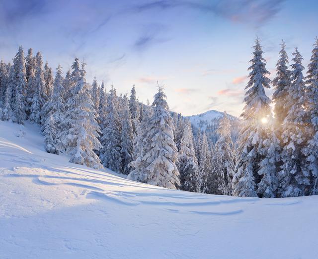 �Ĺ��ܶ෢���ڶ��������ȡ��ʩԤ��