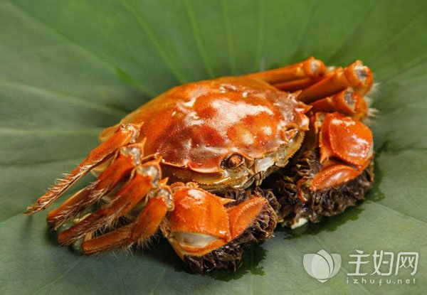 ��բз��α���