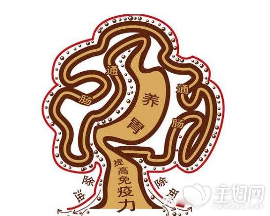 胃胀气吃什么食物 胃胀气吃什么食物