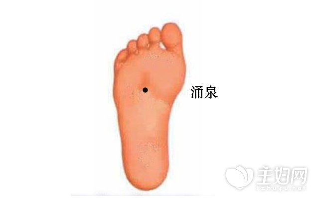 ���������ʲôʳ���ܲ�